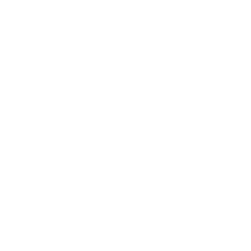 life vest icon white