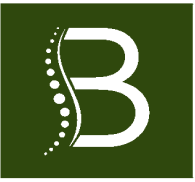 logo Blair Chiropractic
